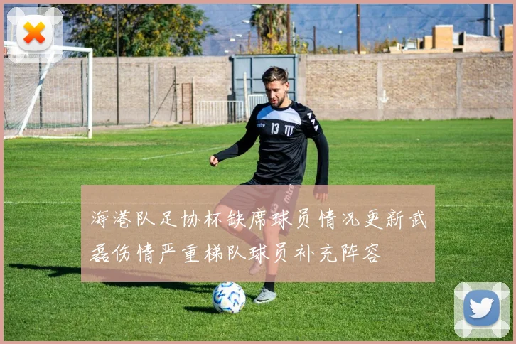 海港队足协杯缺席球员情况更新武磊伤情严重梯队球员补充阵容