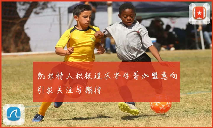 凯尔特人积极追求字母哥加盟意向引发关注与期待